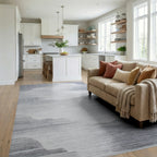 Abstract Gray Cloudscape Textured Rug - Living Room View