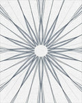 Abstract Radial Graphite Drawing Rug - Cutout View