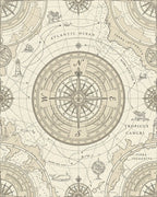 Antique Nautical Chart Compass Rose Rug - Cutout View