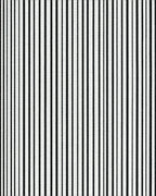 Black White Vertical Stripe Rug - Cutout View