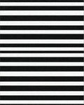 Bold Black White Horizontal Striped Rug - Cutout View