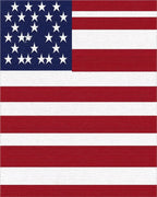 Bold Red White Star Field Rug - Cutout View