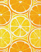 Citrus Slice Patterned Bright Rug - Cutout View