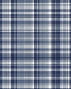 Classic Blue White Plaid Blanket Rug - Cutout View