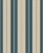 Coastal Teal Stripe Classic Rug - Cutout View
