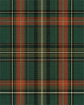 Modern Forest Green Rug - cutout