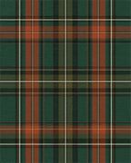 Modern Forest Green Rug - cutout