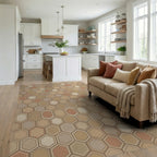 Earthy Tone Geometric Hexagon Rug Living Room View