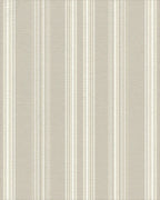 Earthy Tone Vertical Stripe Rug - Cutout View
