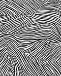 Jaguar Swirl Black White Lines Rug - Cutout View