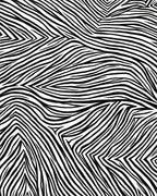 Jaguar Swirl Black White Lines Rug - Cutout View