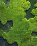 Lush Green Moss Textured Landscape Rug - Cutout View