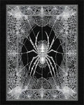 Monochrome Spiderweb Detailed Intricate Rug - Cutout View