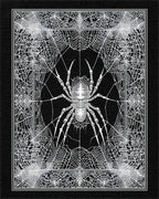 Monochrome Spiderweb Detailed Intricate Rug - Cutout View