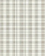 Neutral Beige Plaid Tones Rug - Cutout View