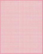 Pink Gingham Checkered Rug - Cutout View