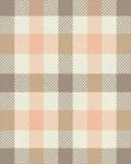 Rustic Peach Plaid Checkered Rug - Cutout View