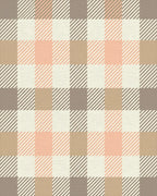 Rustic Peach Plaid Checkered Rug - Cutout View