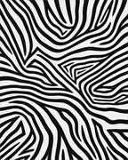 Sharp Contrast Zebra Swirl Rug - Cutout View