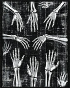 Skeleton Hands Black White Pattern Rug - Cutout View