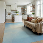 Soft Sky Blue Geometric Overlay Rug Living Room View