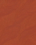Terracotta Organic Contour Lines Rug - Cutout View