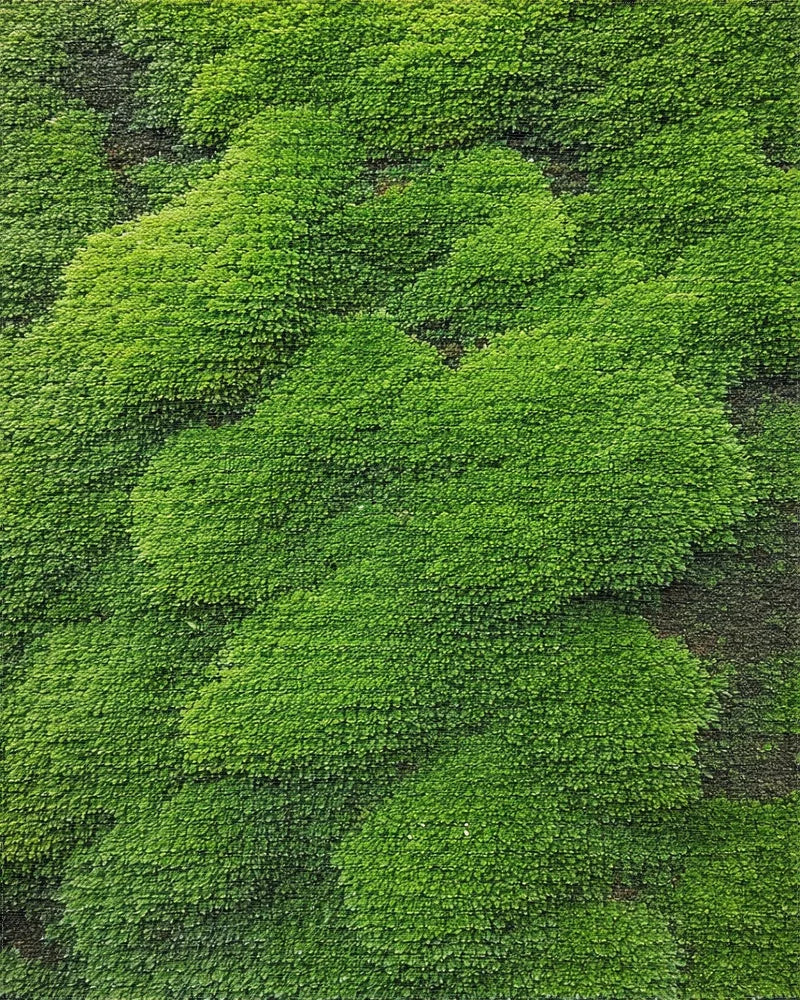 Vibrant Green Textured Moss Landscape Rug - Cutout View