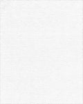 Warm Beige Sunburst Starburst Rug - Cutout View