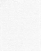 Warm Beige Sunburst Starburst Rug - Cutout View