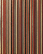 Warm Earth Toned Vertical Stripe Rug - Cutout View